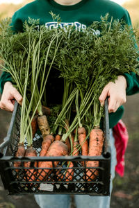 Midsection of woman holding potted plant