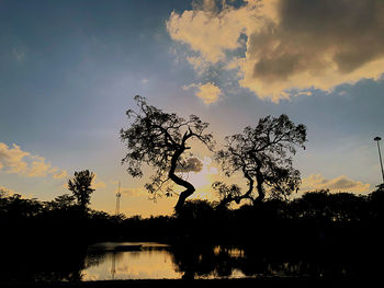 Silhouette trees by lake against sky during sunset