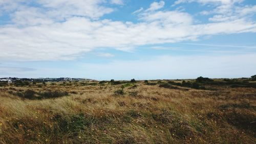 Scenic view of field against sky