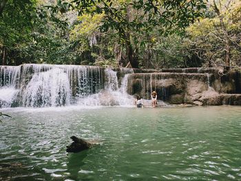 Scenic view of waterfall in forest