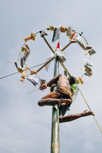 Low angle view of butterfly on tree against sky