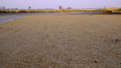 View of field against sky