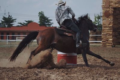 Man riding horse at farm