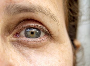 Close-up portrait of human eye