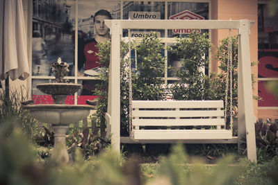 Potted plants on window sill of building