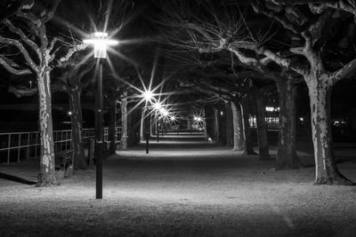 Illuminated street lights at night