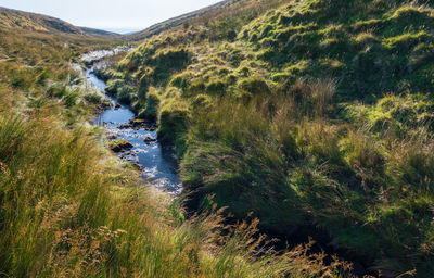 Scenic view of river flowing amidst land