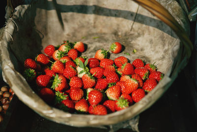 High angle view of strawberries