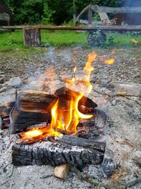 Bonfire on wooden log