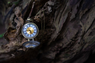 Close-up of clock on rock