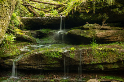 Scenic view of waterfall against rocks and trees