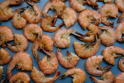 High angle view of prawns