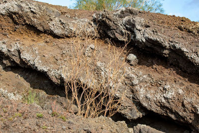 Low angle view of rock formation on land