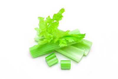 High angle view of leaves against white background