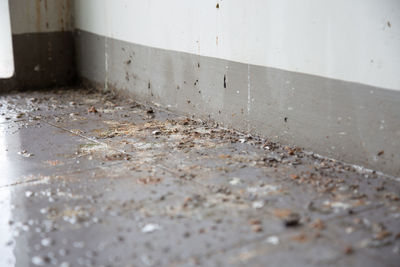 Close-up of damaged wall