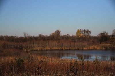 Scenic view of lake against clear sky