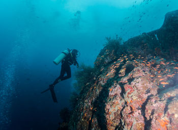 Man scuba diving in sea