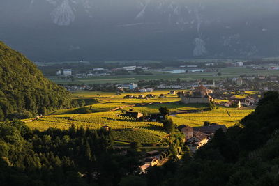 High angle view of agricultural field by buildings