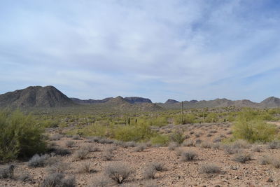 Scenic view of landscape against sky