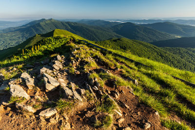 Polonina carynska in bieszczady mountains, poland