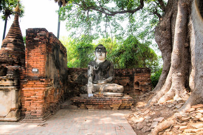 View of buddha statue against trees