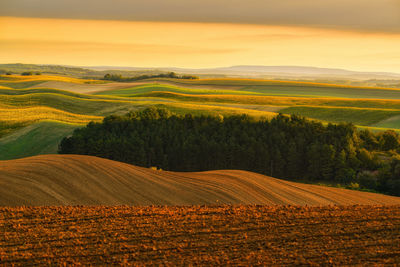 Scenic view of field against sky during sunset