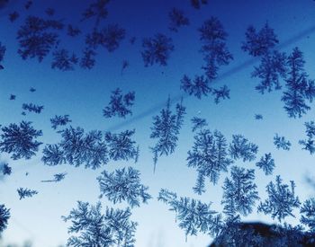 Low angle view of trees against sky during winter