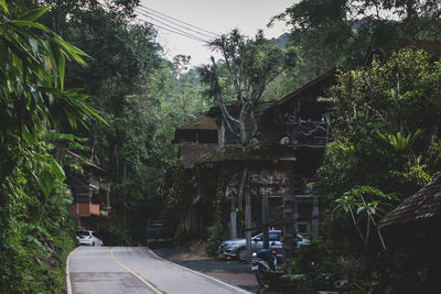 Street amidst trees and plants in city