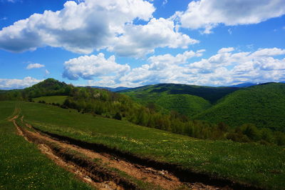 Scenic view of field against sky