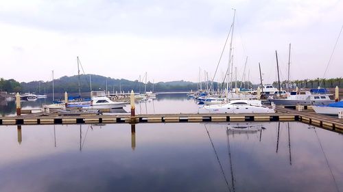 Sailboats moored at harbor