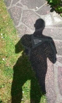 Shadow of people on grass