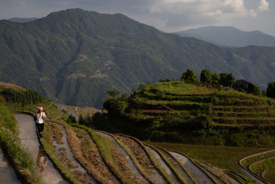 Scenic view of field against mountains