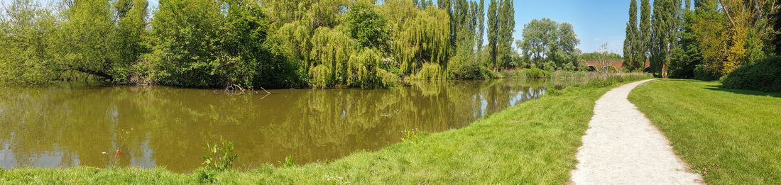 Scenic view of lake amidst trees