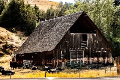 Old wooden house on field by trees