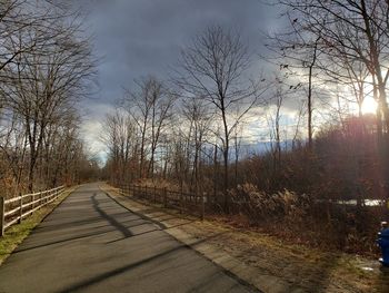 Road amidst bare trees against sky