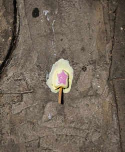 High angle view of ice cream cone