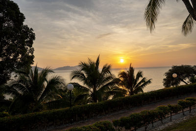 Palm trees by sea against sky during sunset