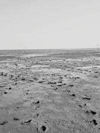 Scenic view of beach against clear sky