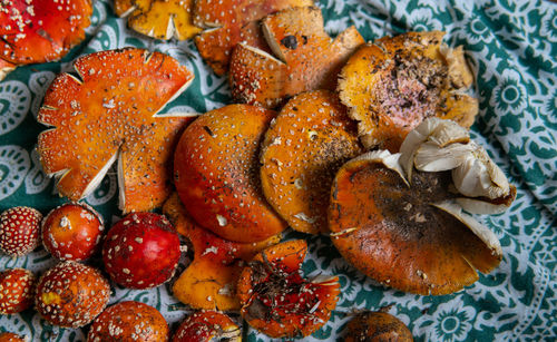 High angle view of fruits