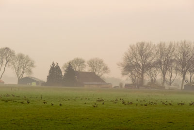 Scenic view of grassy field against sky