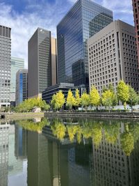 Autum leaves intokyo.