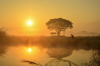 Silhouette tree by lake against sky during sunset