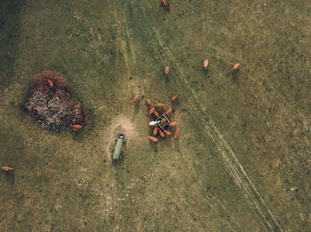 High angle view of people on field
