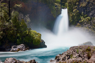 Scenic view of waterfall in forest