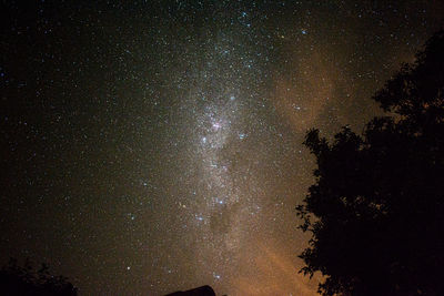 Low angle view of silhouette trees against sky at night