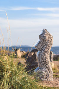 Close-up of plant on field against sky