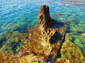 High angle view of rock in sea