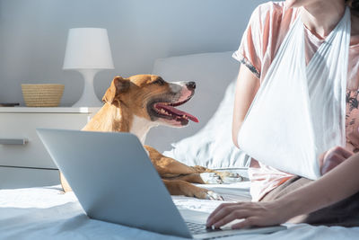 Midsection of man with dog at home