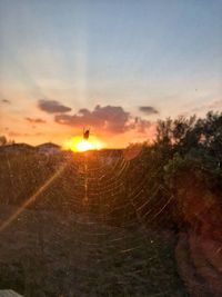 Scenic view of field against sky during sunset