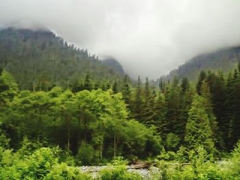 Scenic view of mountains